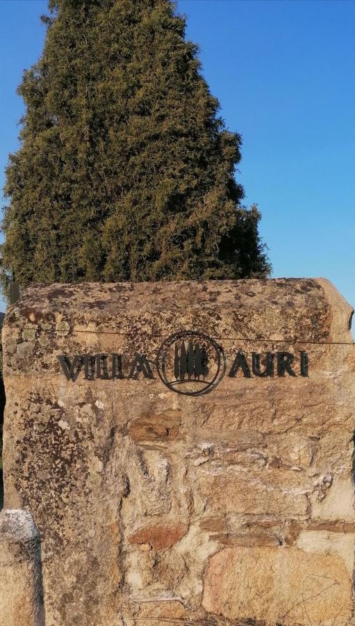 Villa Auri 福什科阿新镇 外观 照片