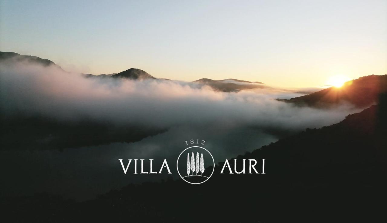 Villa Auri 福什科阿新镇 外观 照片