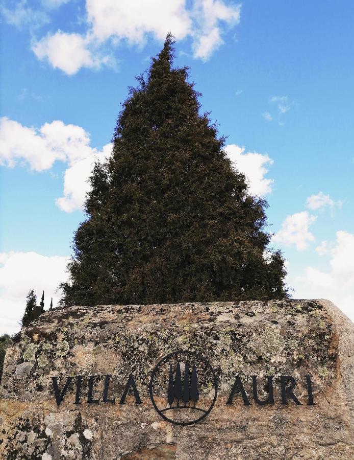 Villa Auri 福什科阿新镇 外观 照片